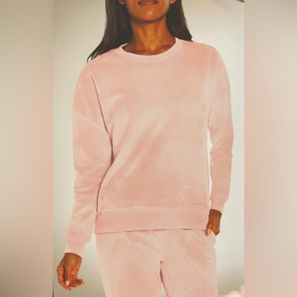 Banana Republic Light Pink Velour Sweatshirt